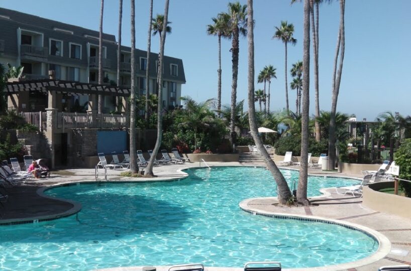 Large Heated Pool with Palm Trees
